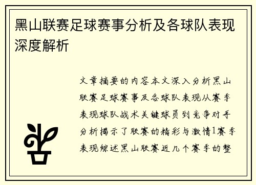 黑山联赛足球赛事分析及各球队表现深度解析